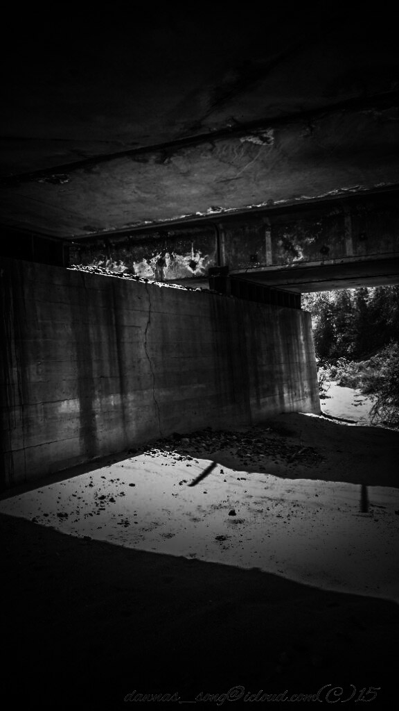 PSX_20150323_125217.jpg image