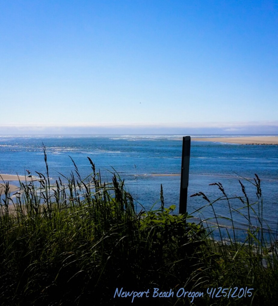 wp-1432948552084 image