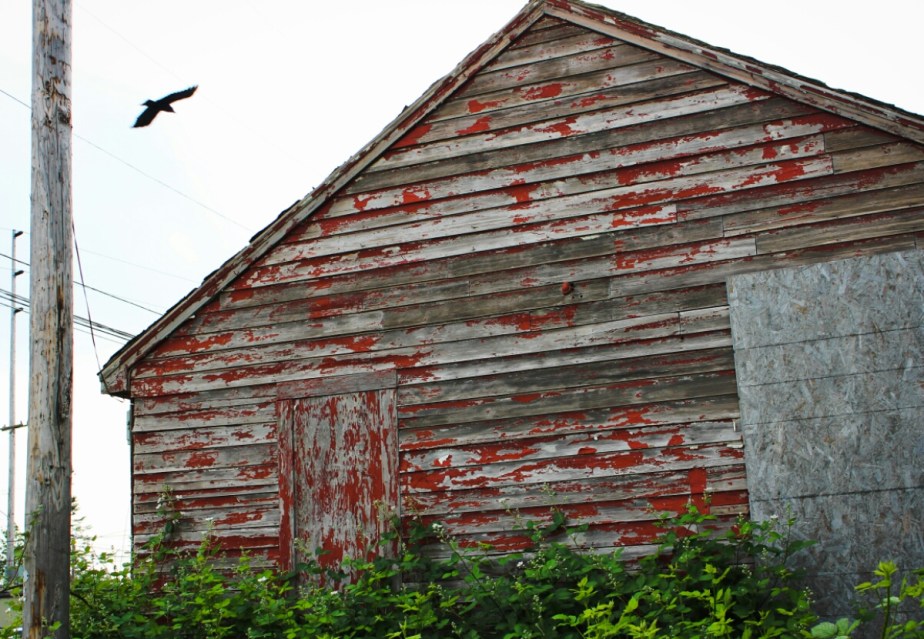 PSX_20150621_104859.jpg image