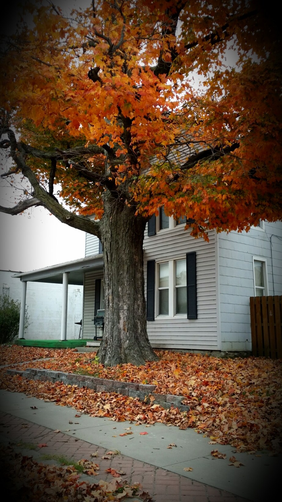 20151030_164448.jpg image