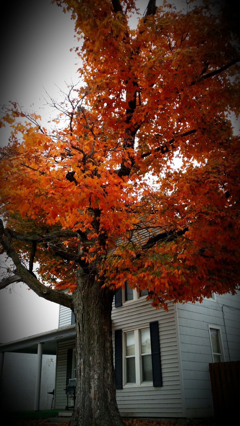 20151030_171641.jpg image