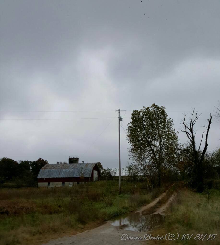 wp-1446329968616 image