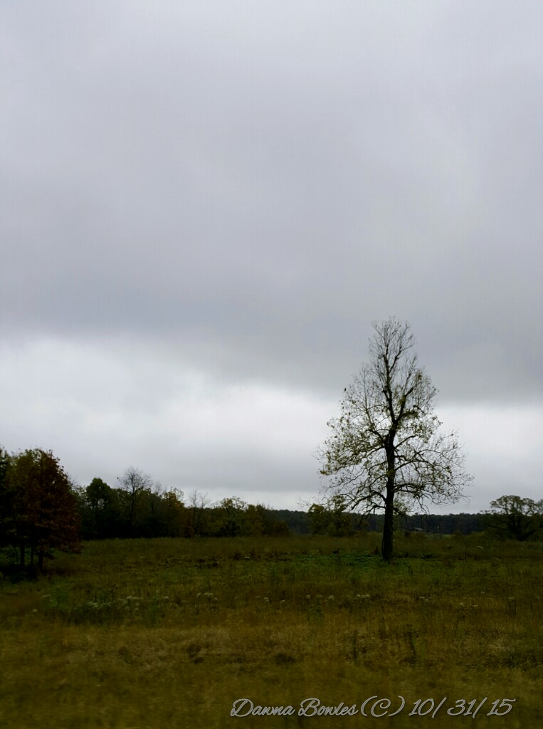 wp-1446329968826 image