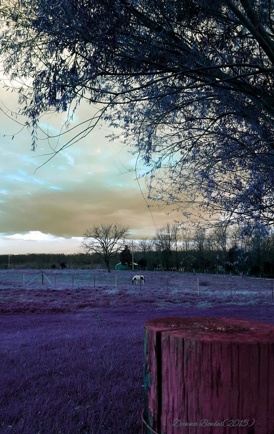 2015-11-20 18.52.04_wm.jpg image