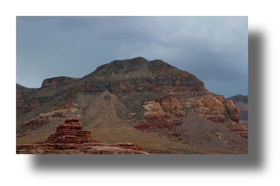 IMG_20151116_161135.jpeg image