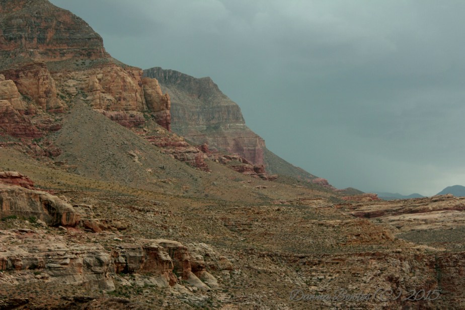 wp-1446873269568 image