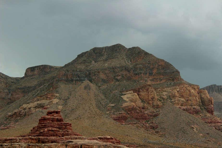 wp-1446873511155 image