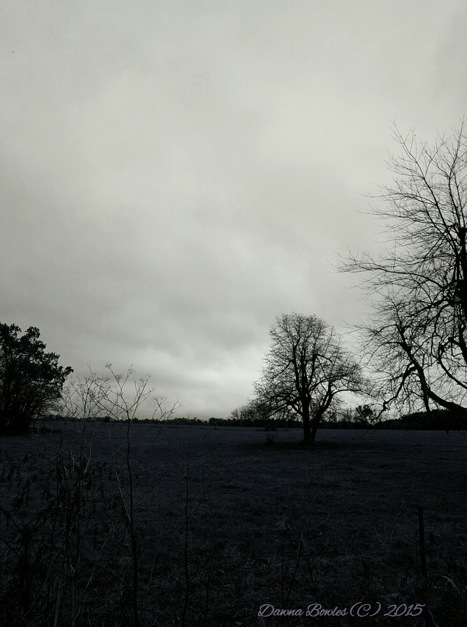 wp-1447710668627 image