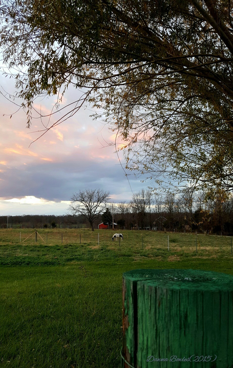 wp-1448067176030 image