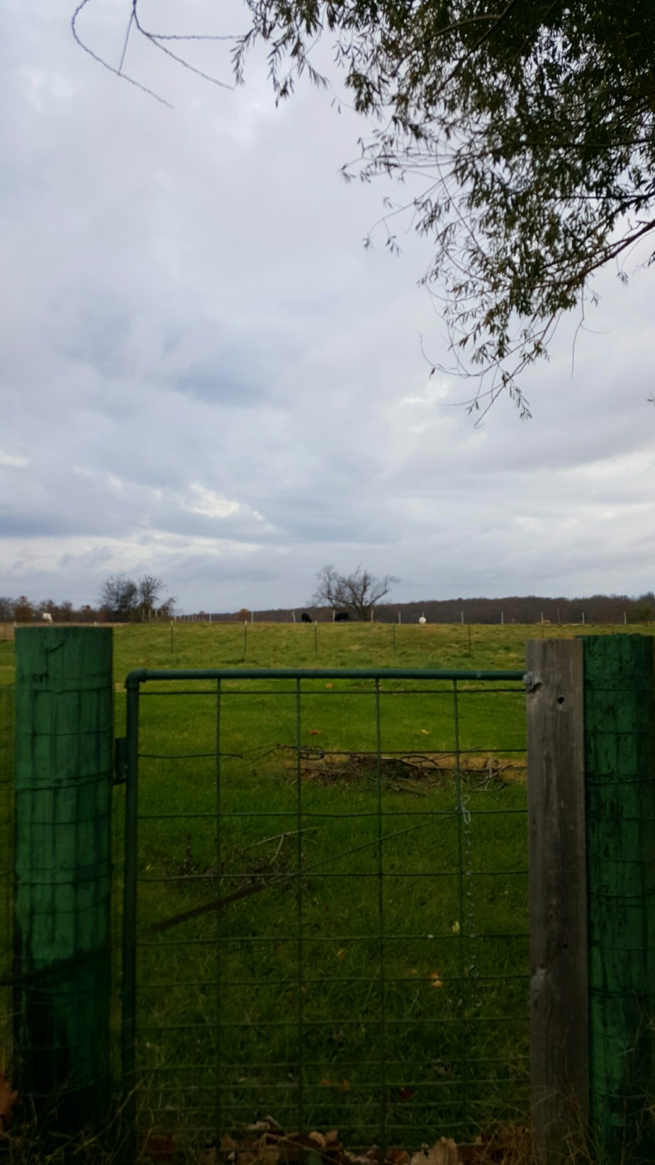 2015-12-11 12.57.59.jpg image