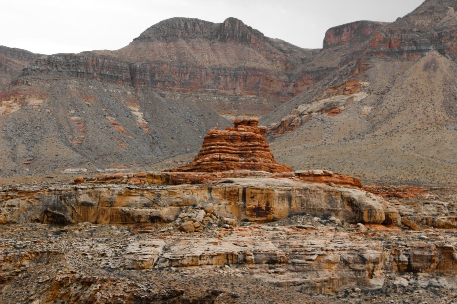 PSX_20151228_141739.jpg image