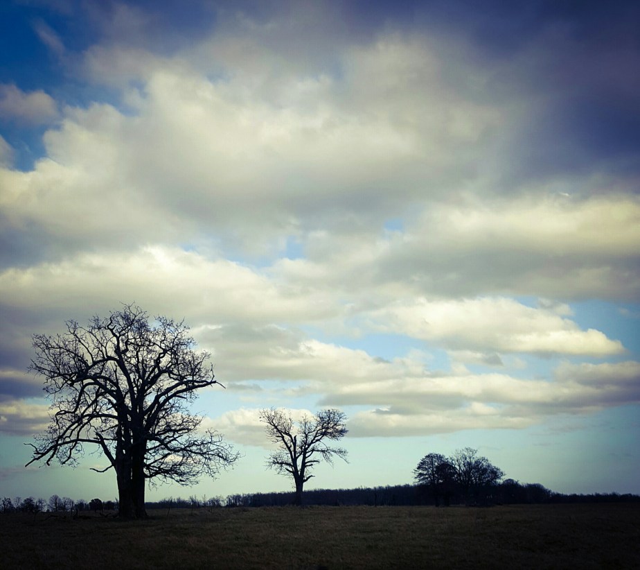 wp-1450330141600 image