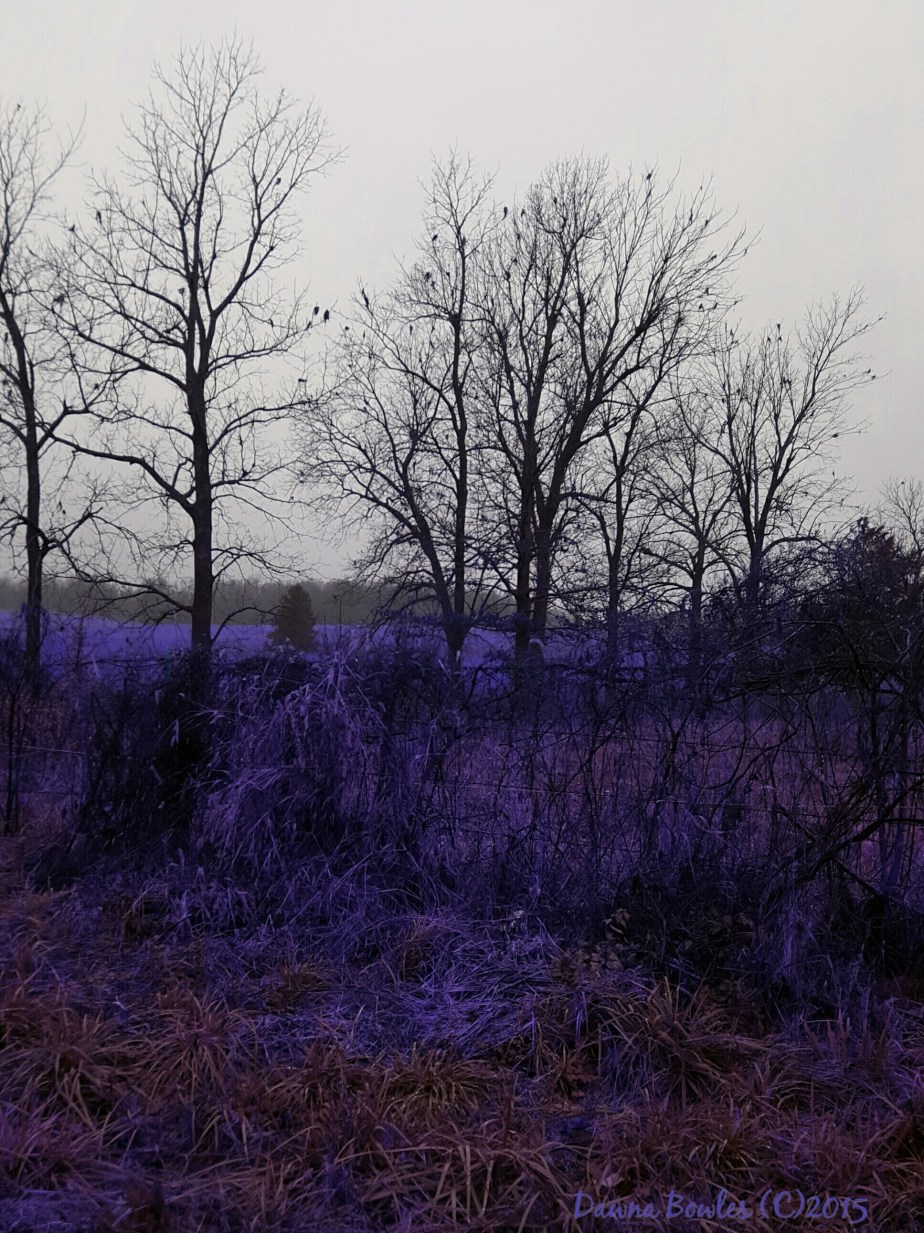 wp-1451341098547 image