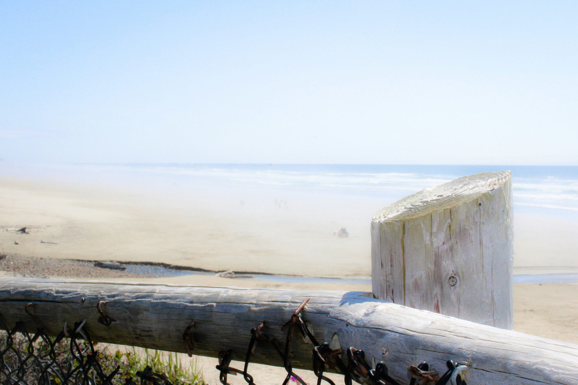 wp-1452450046563 image