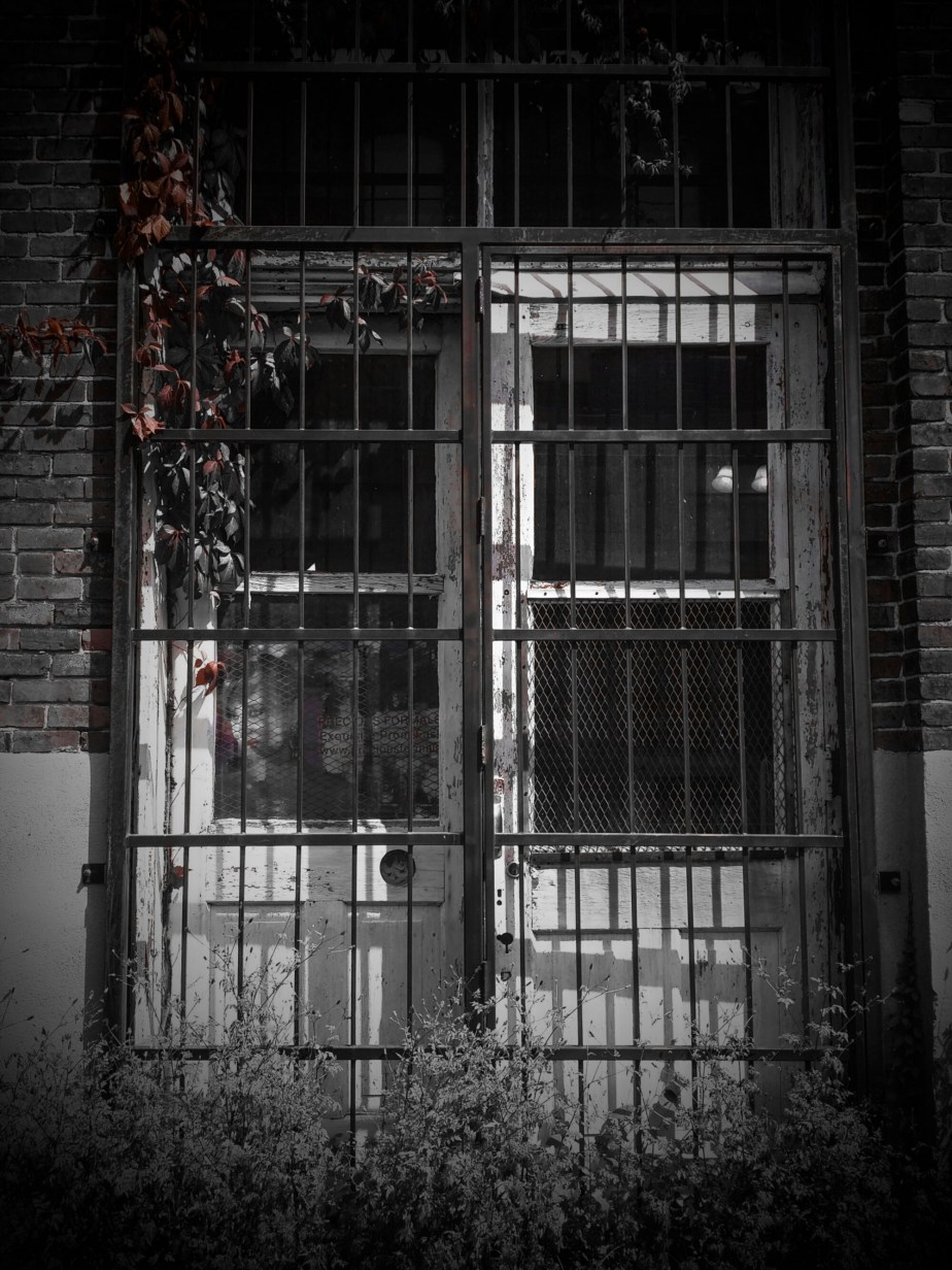 wp-1460228721234 image