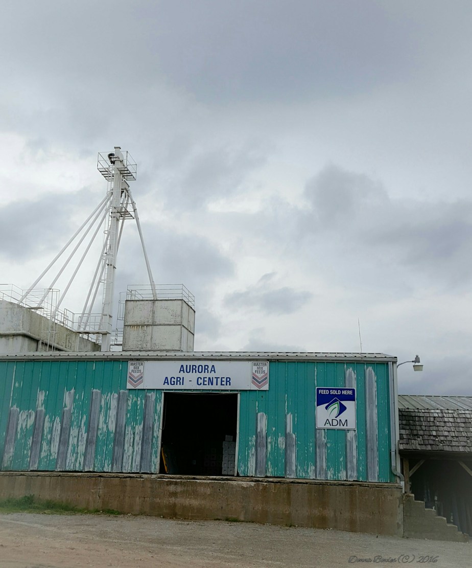 wp-1461017438380 image