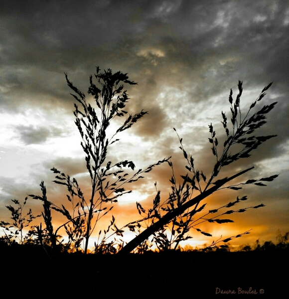 PSX_20160504_224953_wm.jpg image