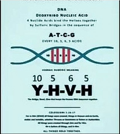 GOD’S NAME IS WRITTEN IN YOUR&nbsp;DNA